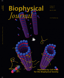 Human Microtubule-Associated-Protein Tau Regulates the Number of Protofilaments in Microtubules: a Synchrotron X-ray Scattering Study