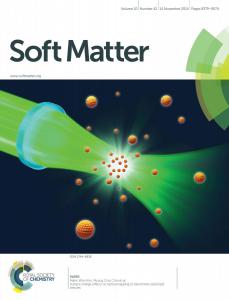 Surface charge effects on optical trapping of nanometer-sized lipid vesicles